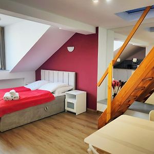 Appartement met een Slaapkamer